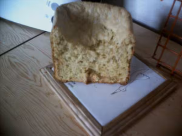 Pain de mais