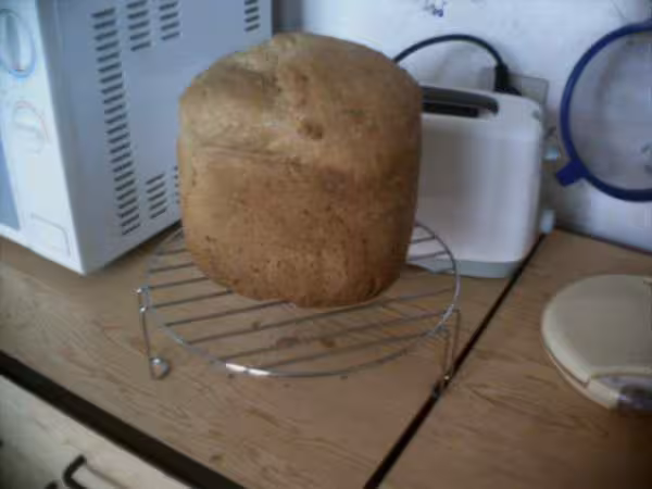 Pain de seiegle