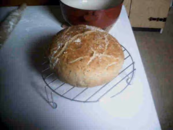 Pain farine aldi cuisson mosquito