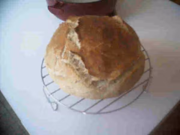 Pain polange sur poolisch et levain liquide cuit cocotte