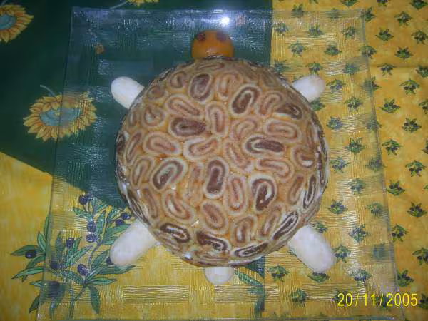 Gateau tortue tupperware essai 1