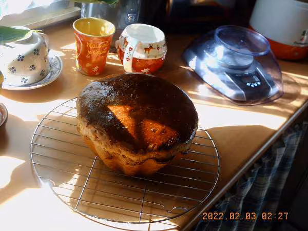 Brioche d ysa 29