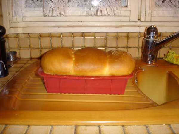 Brioche