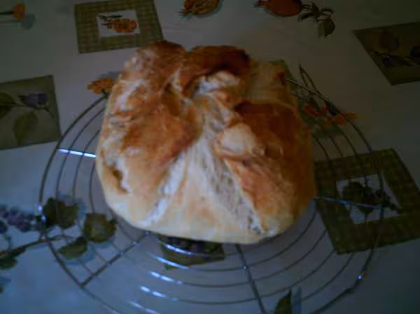 Mon pain cocotte a peu pres reussi