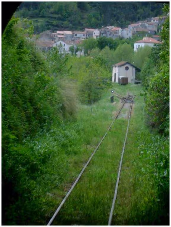 Tr 1
