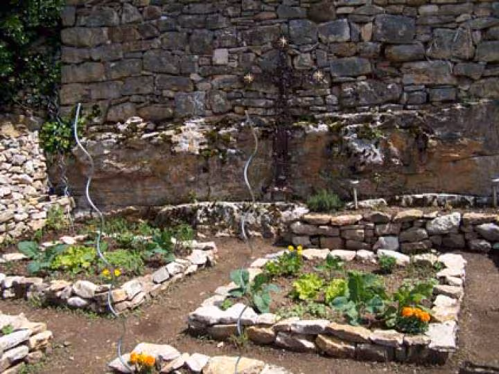 New potager en carre3