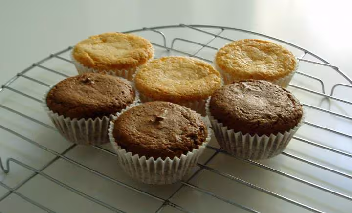 Cupcakes bases