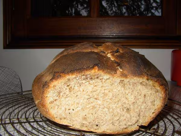 Le rejeton d agathe