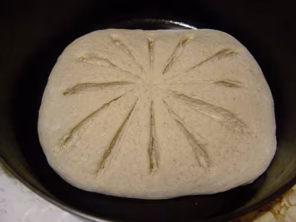 Avant cuisson en cocotte