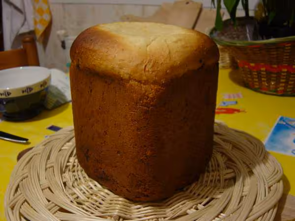 Brioche a la noix de coco et aux pepites de choc