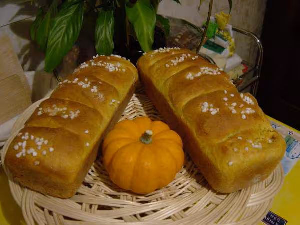 Brioches au potiron