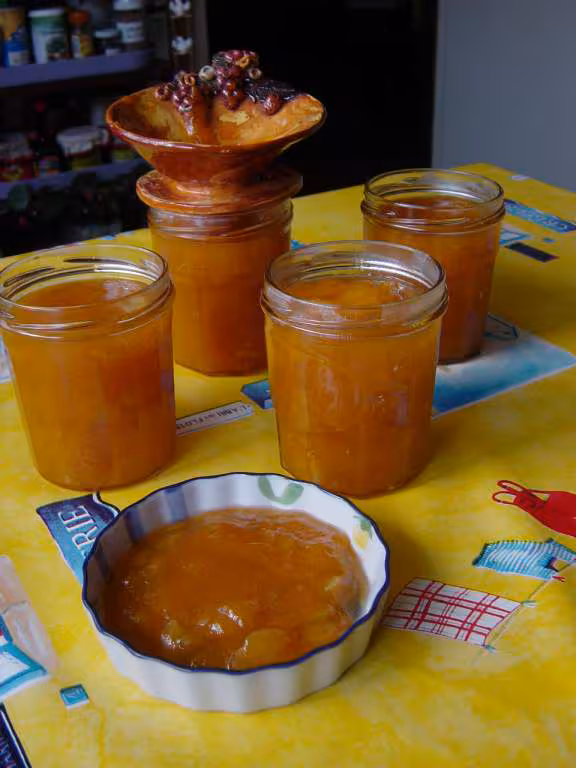 Confiture aux abricots et aux amandes