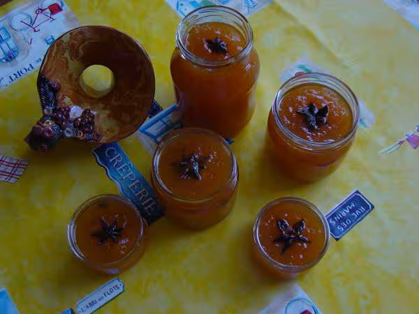 Confiture de melon a la badiane