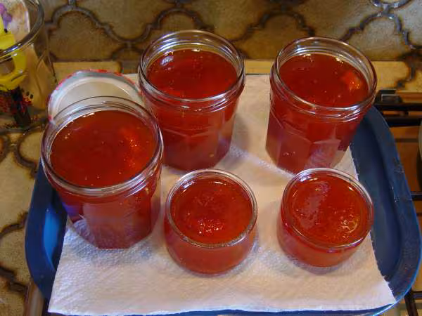Confiture de pasteque au gingembre