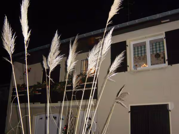 La maison le soir