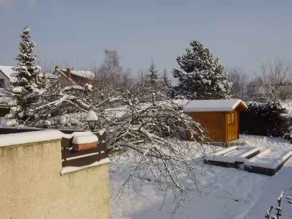 Le jardin sous la neige