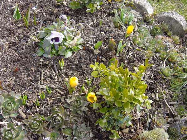 Le printemps arrive