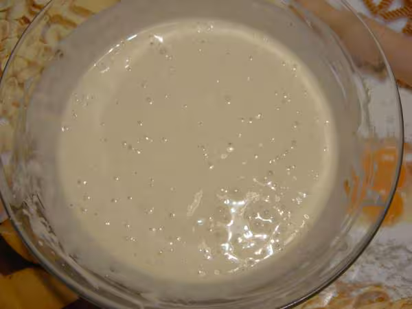 Levain 2ieme phase