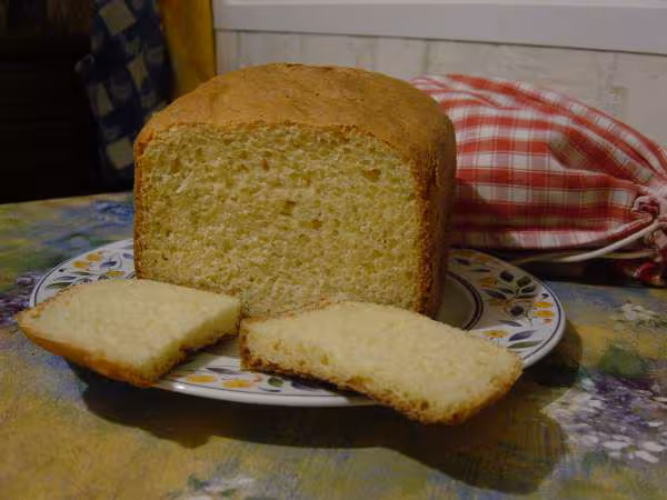 Ma brioche de regime