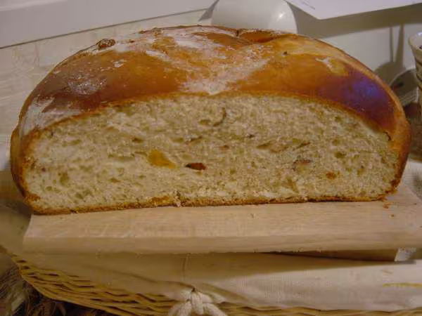 Mie du pain aux abricots et aux noisettes