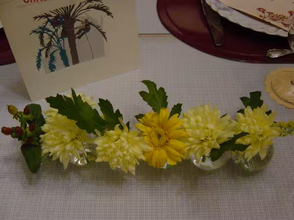 Mon nouveau vase