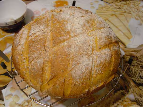 Pain au jus de tomates et gruyere rape