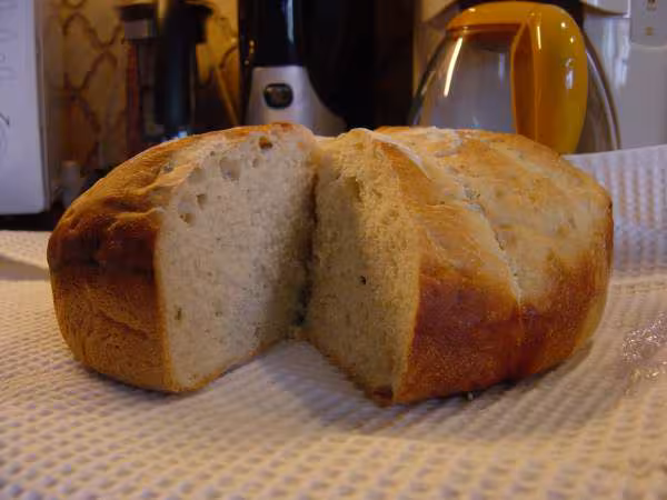 Pain ciabatta coupe