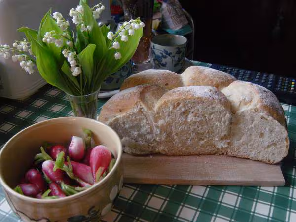 Pain ciabatta et radis du jardin