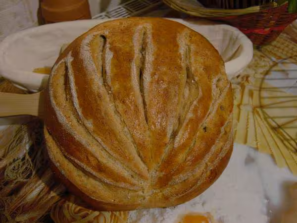 Pain nervures de feuille