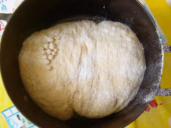 Pain sur poolish a la fin de la 2ieme levee