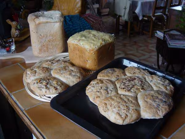 Pains et brioche aux lardons et olives