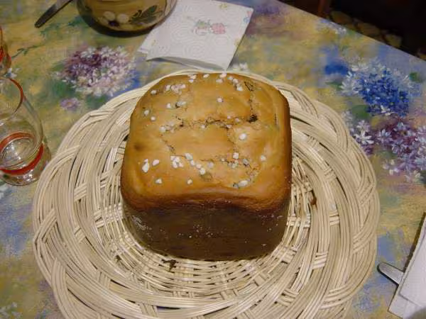 Pogne aux pepites de chocolat