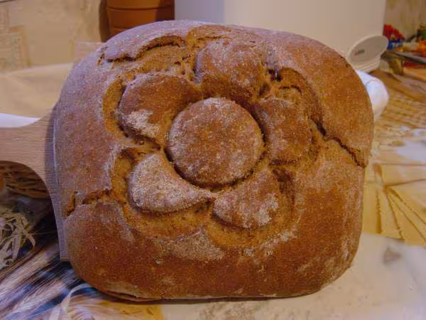 Schrotbrot