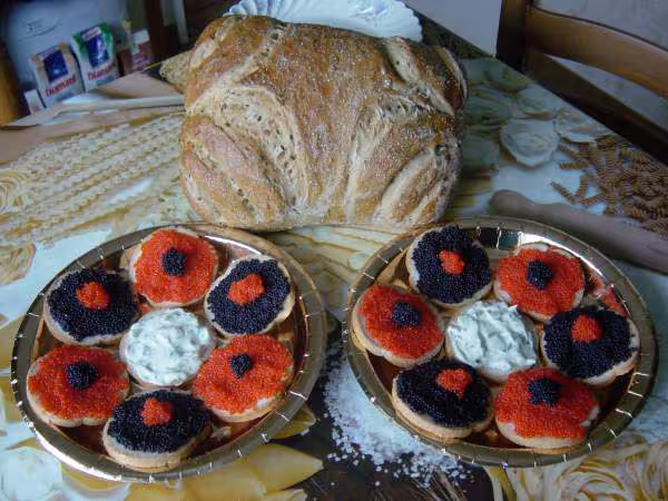 Toasts et pain multi cereales