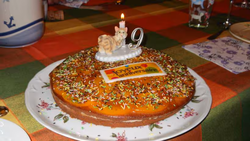 Gateau d anniv sans oeufs