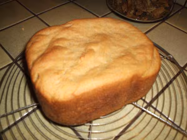 Petit pain complet recette du livret