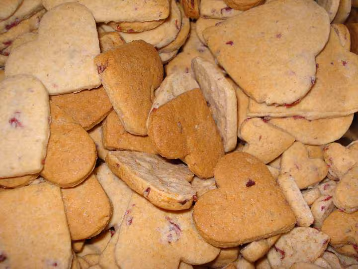 Biscuits aux cranberries sechees