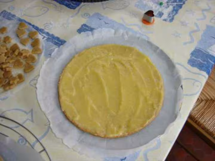 Mon premier framboisier 2