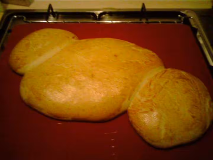 Coquille prisly