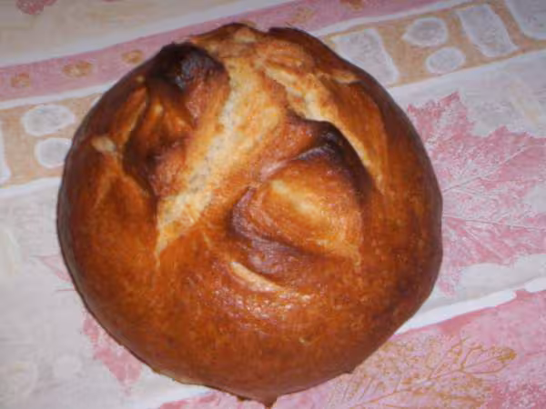 Mon 1er pain sur poolish