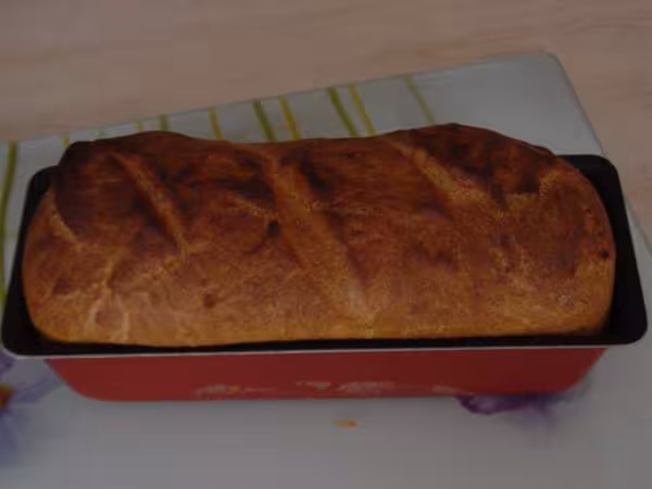 Pain viennois
