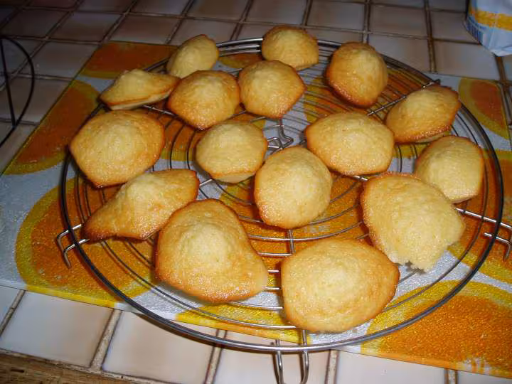 Madeleines 2eme fournee