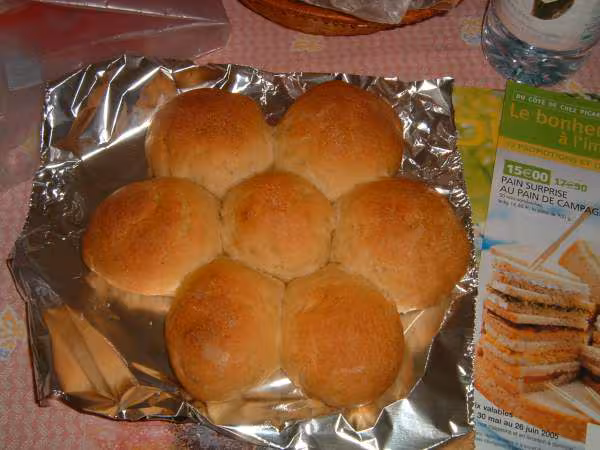 Levain d epeautre