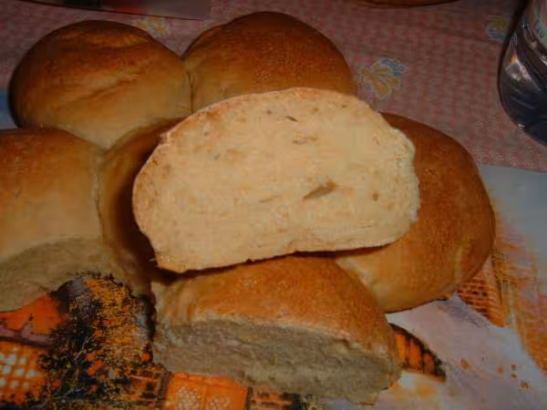 Levain d epeautre
