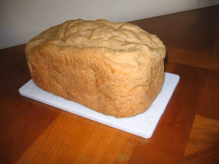 Pain au levain fermentescible