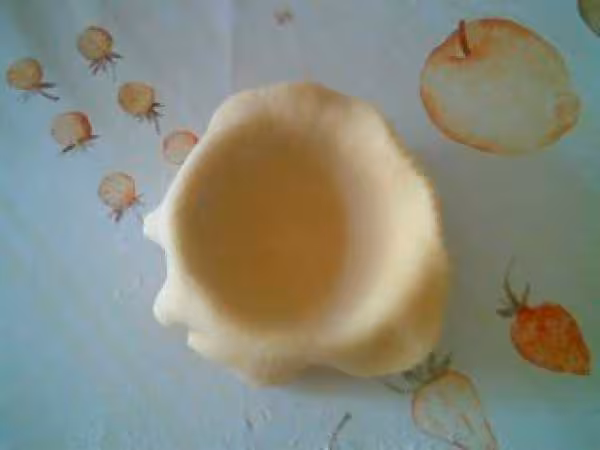 Bocconotti3