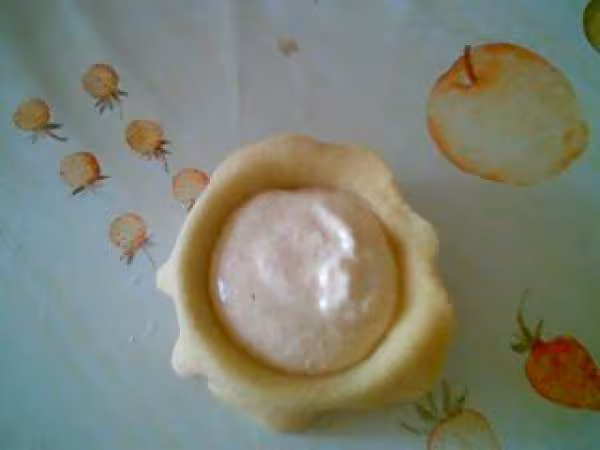 Bocconotti7