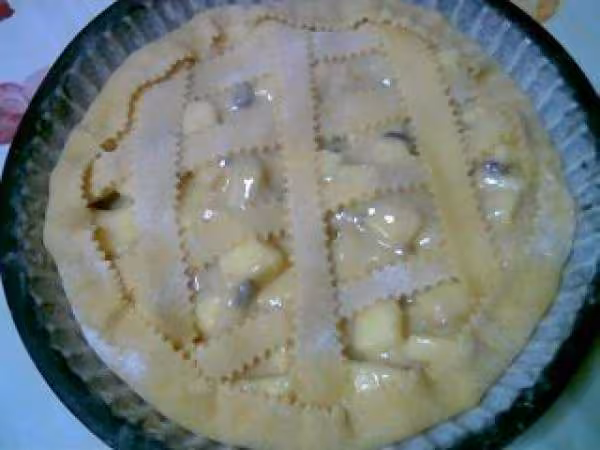 Cake au pommes11