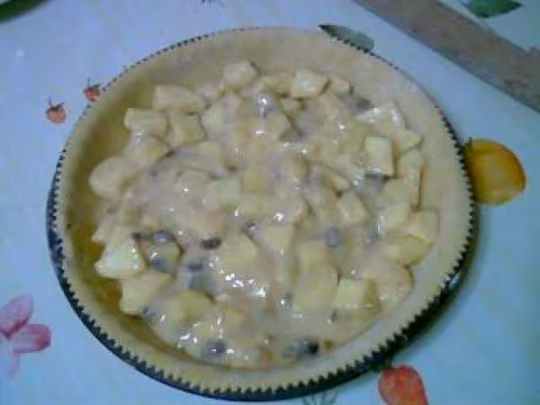 Cake au pommes9