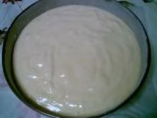 Mimosa8